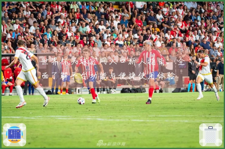 世界杯买球官网入口新人指南：全面了解平台功能与便捷使用体验