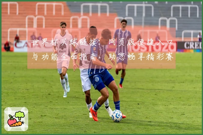 世界杯买球链接：网页版便捷入口与功能全面指南，助您畅享精彩赛事