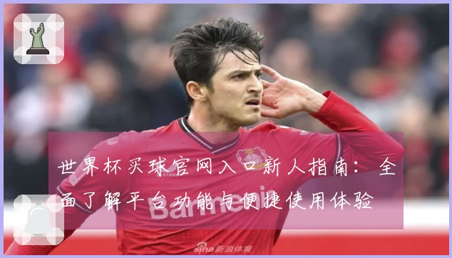 世界杯买球官网入口新人指南：全面了解平台功能与便捷使用体验