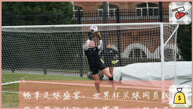 畅享足球盛宴，世界杯买球网页版登录带你体验非凡赛事，功能全面！