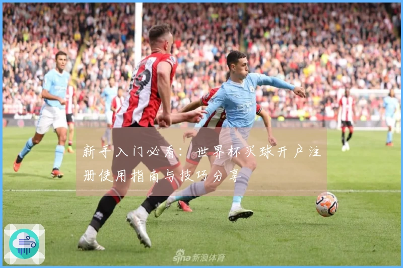 新手入门必看：世界杯买球开户注册使用指南与技巧分享