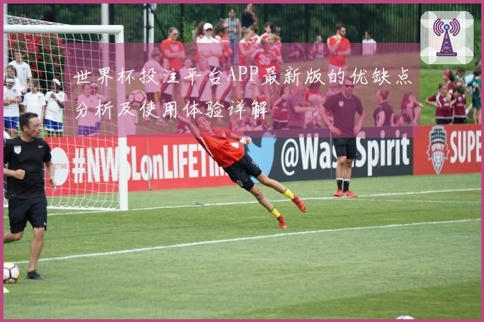 世界杯投注平台APP最新版的优缺点分析及使用体验详解
