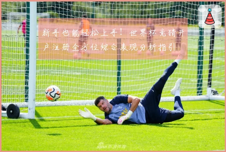新手也能轻松上手！世界杯竞猜开户注册全方位综合表现分析指引