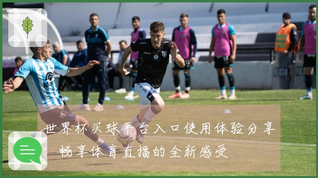 世界杯买球平台入口使用体验分享：畅享体育直播的全新感受
